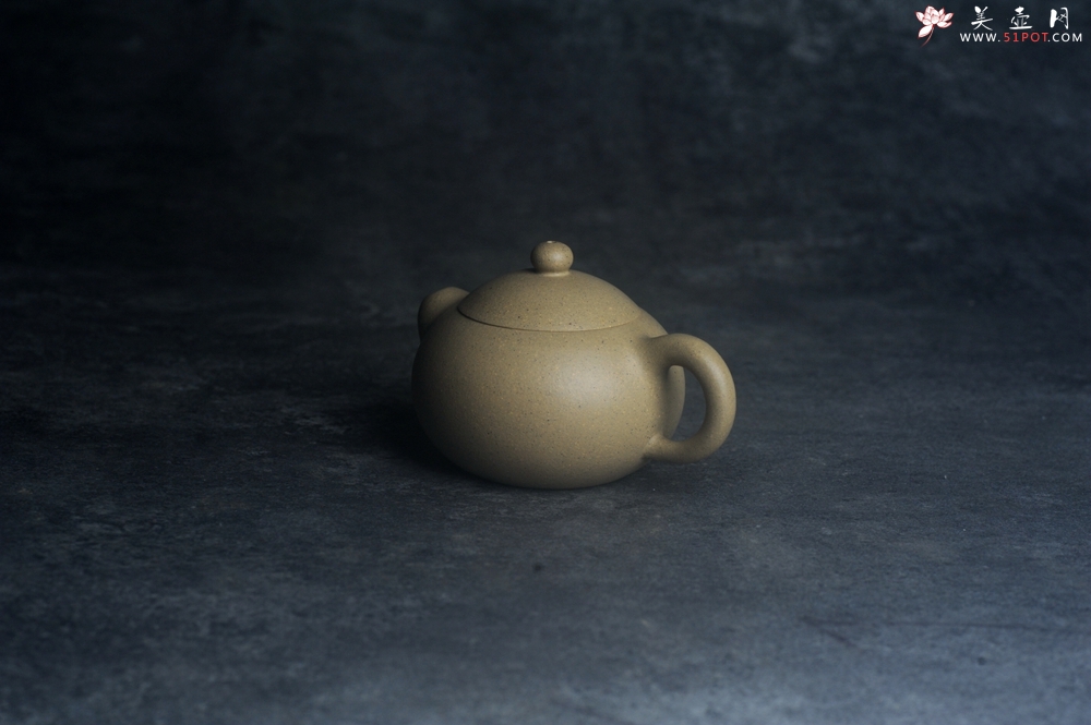 紫砂壶图片：美壶特惠 优质本绿翘嘴西施 茶人醉爱 - 紫砂壶之家紫砂壶网