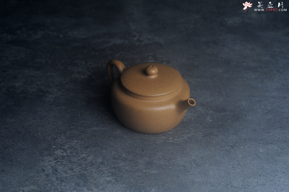 紫砂壶图片：美壶特惠全手工紫砂壶特好段泥桑扁壶 茶壶 茶具 单壶 - 紫砂壶之家紫砂壶网