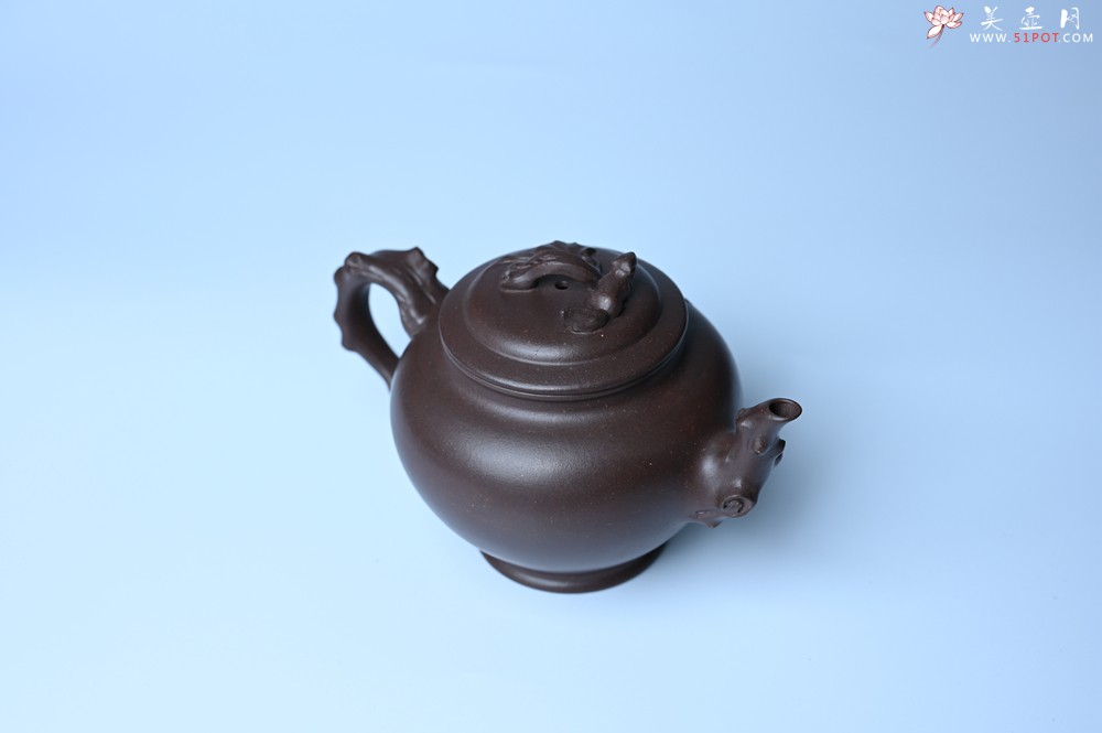 紫砂壶图片：潜力股赵老师 老紫泥全手工松鼠葡萄壶 茶人醉爱 - 紫砂壶之家紫砂壶网