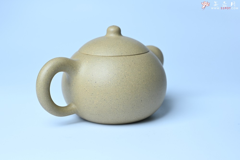 紫砂壶图片：美壶特惠 优质本绿翘嘴西施 茶人醉爱 - 紫砂壶之家紫砂壶网