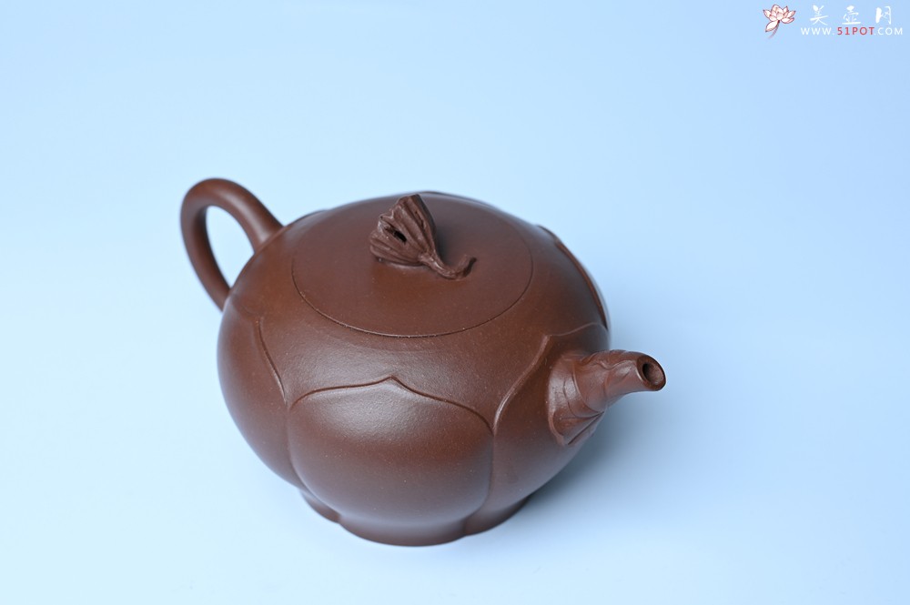 紫砂壶图片：美壶特惠 贴花活灵活现 精致荷花壶 茶人醉爱 - 紫砂壶之家紫砂壶网