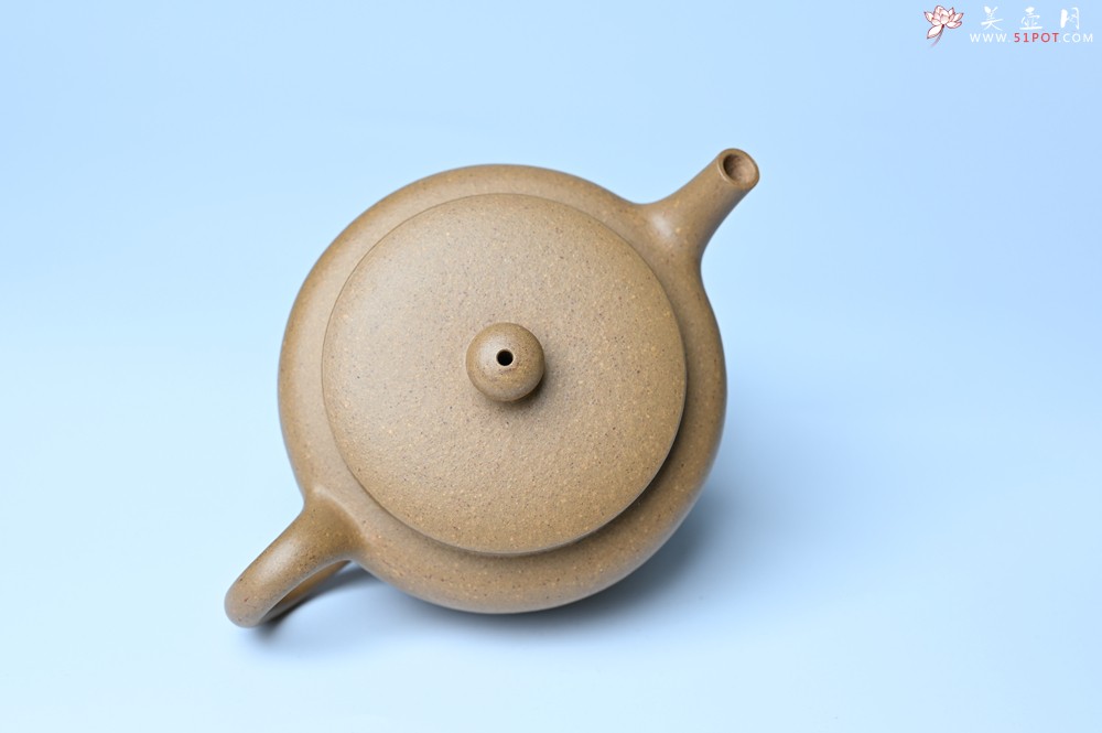 紫砂壶图片：美壶特惠全手工紫砂壶特好段泥桑扁壶 茶壶 茶具 单壶 - 紫砂壶之家紫砂壶网
