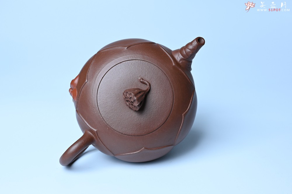 紫砂壶图片：美壶特惠 贴花活灵活现 精致荷花壶 茶人醉爱 - 紫砂壶之家紫砂壶网