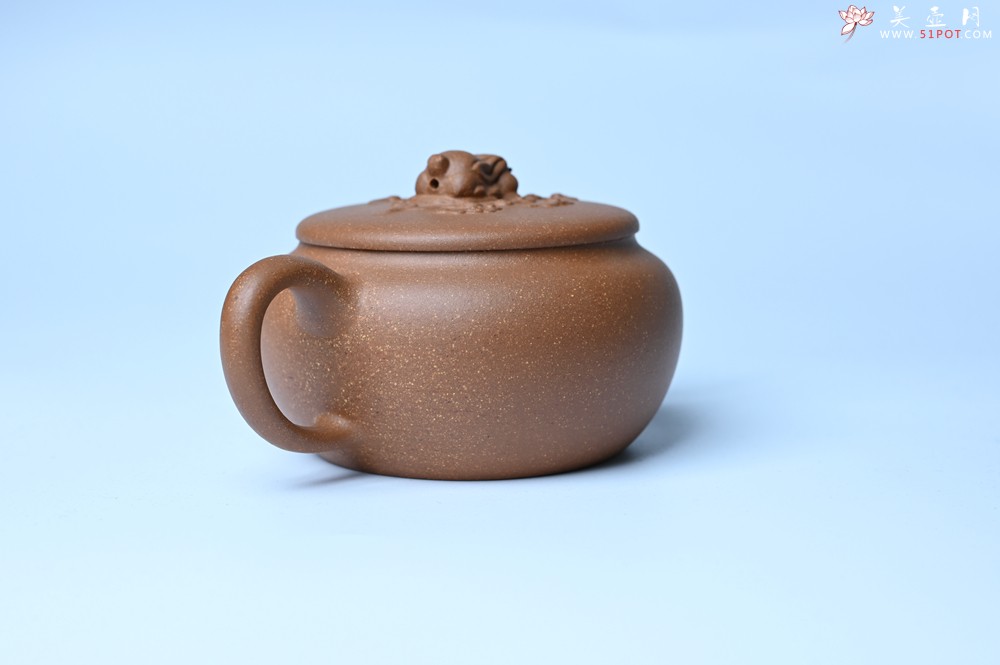 紫砂壶图片：美壶特惠 优质降坡泥花鸟听兔壶 茶人醉爱 - 紫砂壶之家紫砂壶网