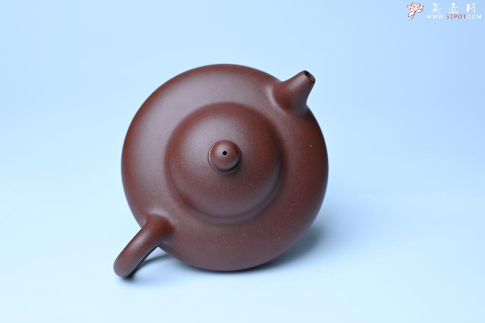 紫砂壶图片：美壶特惠周老师实力精工力作 临摹致敬经典华颖壶 - 紫砂壶之家紫砂壶网