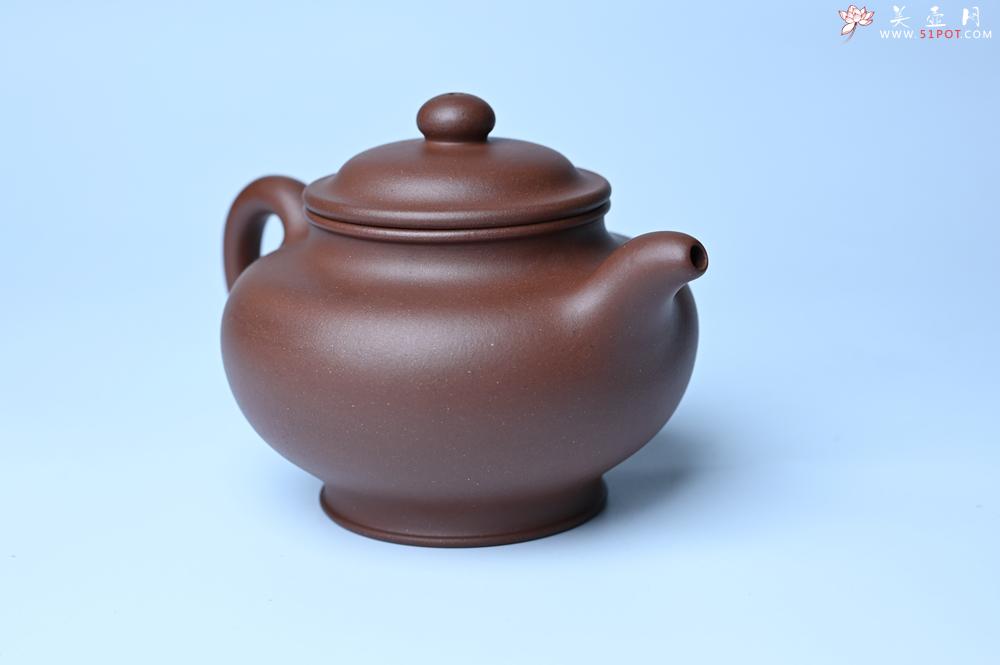 紫砂壶图片：美壶特惠 手工手制紫砂壶特好底槽青掇只壶 茶人醉爱 - 紫砂壶之家紫砂壶网
