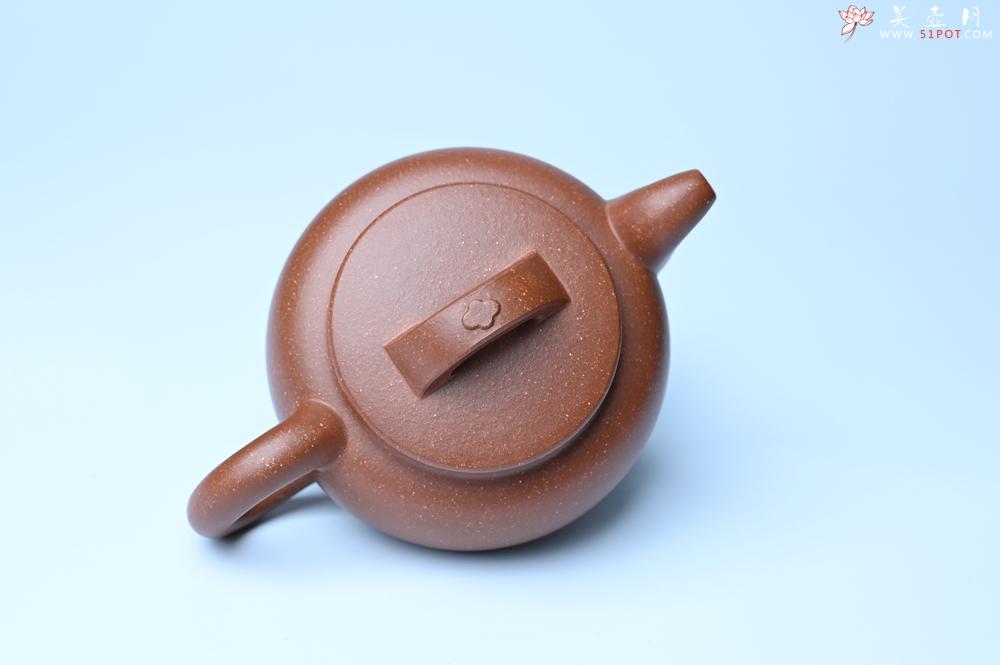 紫砂壶图片：美壶特惠 特好降坡泥大口实用思韵壶 茶人醉爱 - 紫砂壶之家紫砂壶网