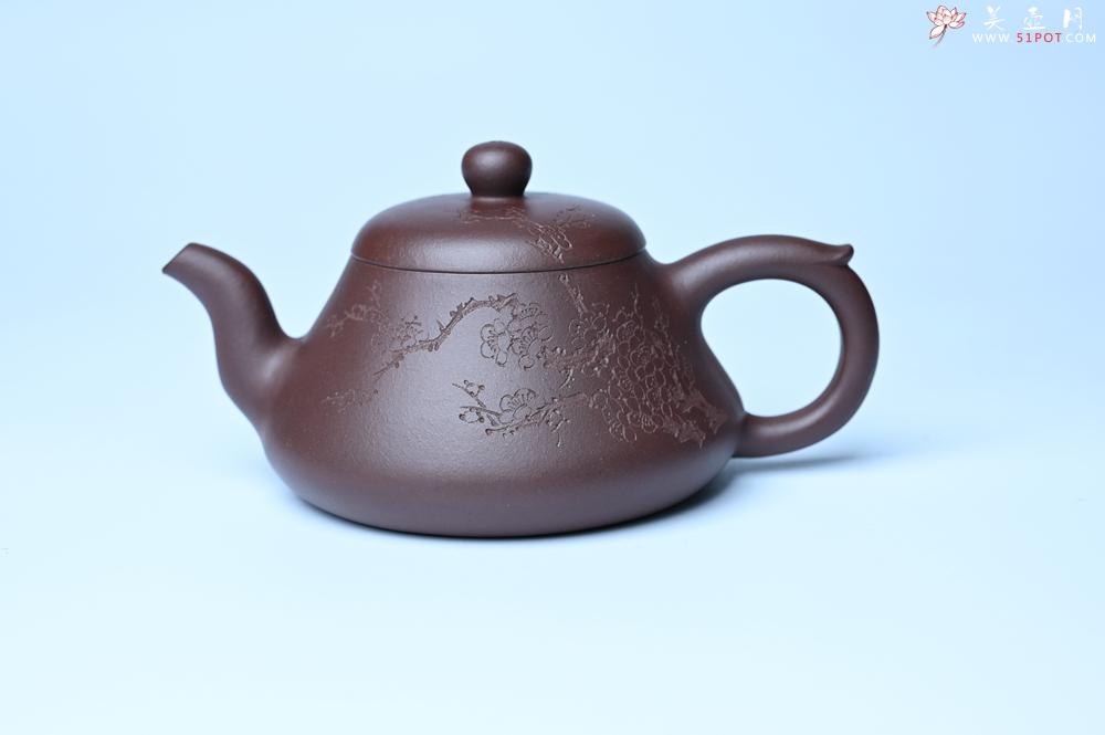 紫砂壶图片：潜力股周小培老师 全手工底槽青缘德壶 装饰通转梅花特文气 期待与您结缘 - 紫砂壶之家紫砂壶网