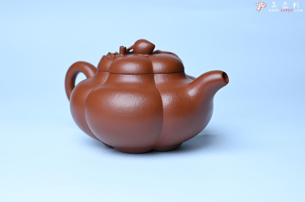 紫砂壶图片：美壶特惠 精品大红袍朱泥上合桃 茶人醉爱 - 紫砂壶之家紫砂壶网