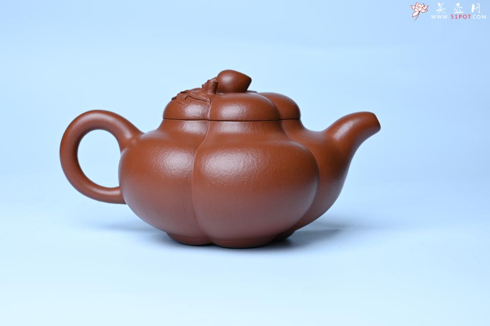 紫砂壶图片：美壶特惠 精品大红袍朱泥上合桃 茶人醉爱 - 紫砂壶之家紫砂壶网