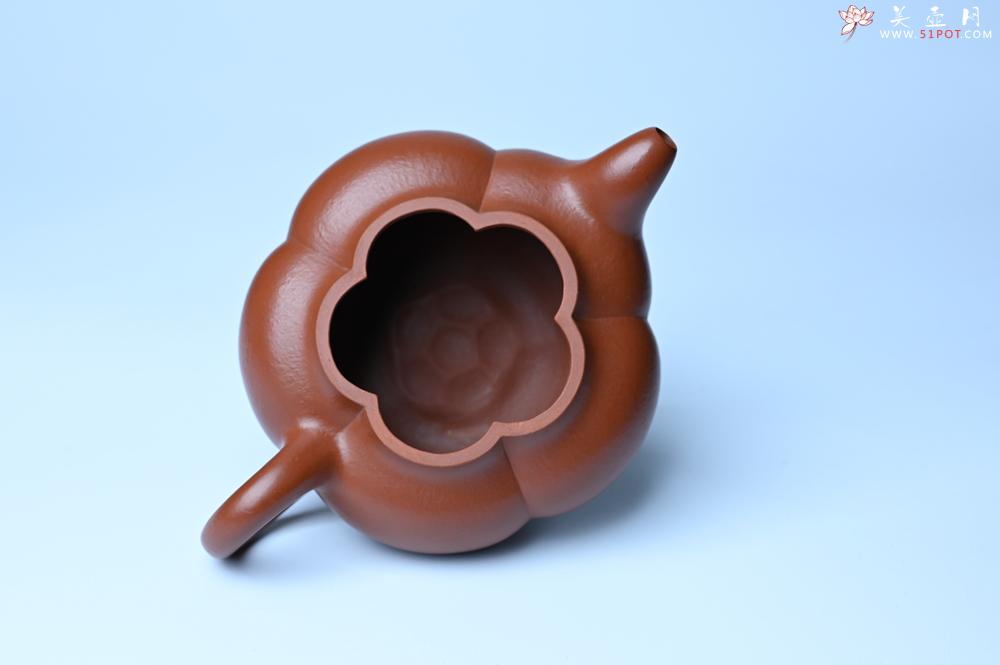 紫砂壶图片：美壶特惠 精品大红袍朱泥上合桃 茶人醉爱 - 紫砂壶之家紫砂壶网