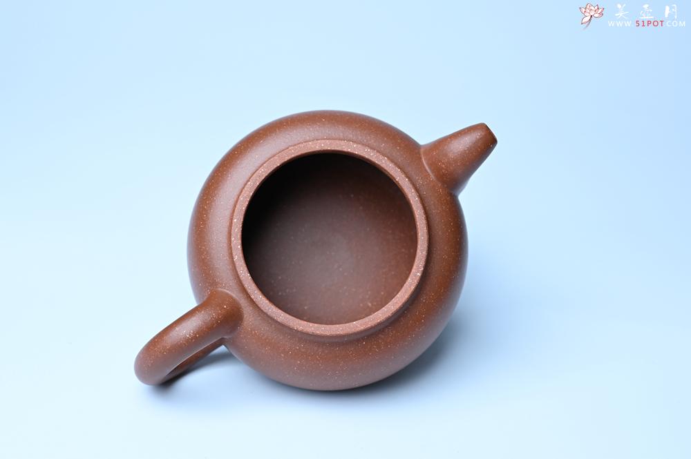 紫砂壶图片：美壶特惠 特好降坡泥大口实用思韵壶 茶人醉爱 - 紫砂壶之家紫砂壶网