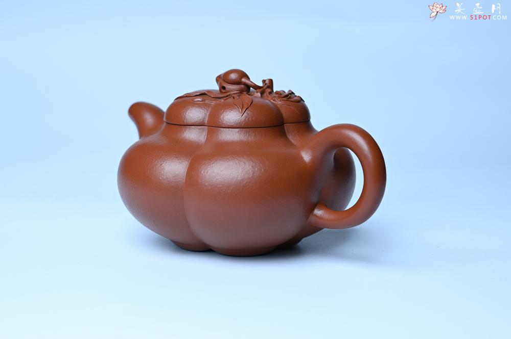 紫砂壶图片：美壶特惠 精品大红袍朱泥上合桃 茶人醉爱 - 紫砂壶之家紫砂壶网