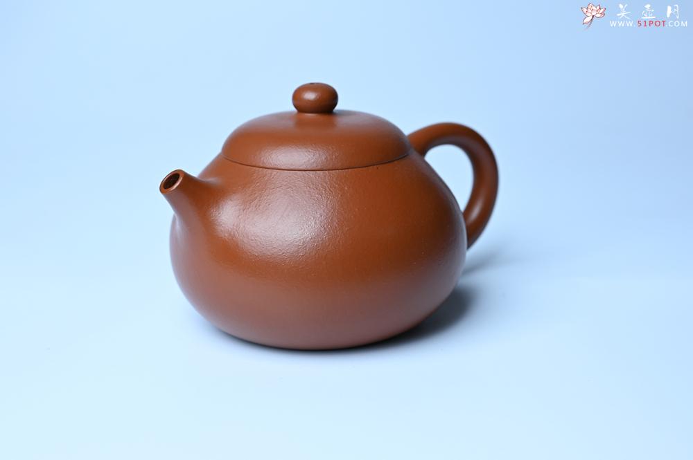 紫砂壶图片：潜力股周小培 油润黄龙山朱泥 全手工文旦壶 壶特好 期待与您结缘 - 紫砂壶之家紫砂壶网