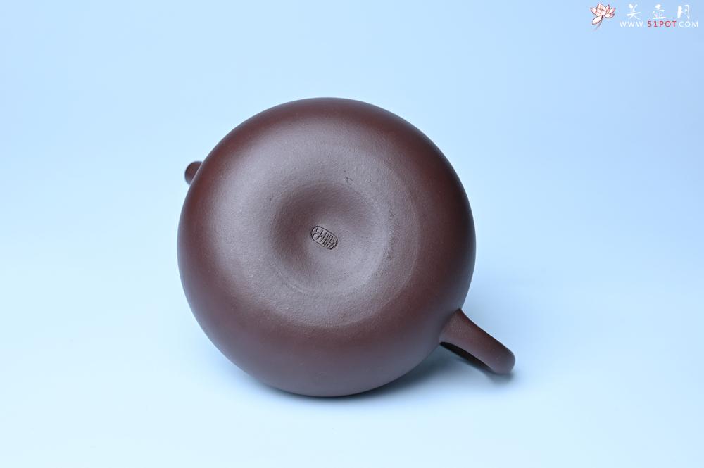 紫砂壶图片：美壶特惠 手工手制紫砂壶特好老紫泥容天壶 茶壶 茶具 单壶 - 紫砂壶之家紫砂壶网