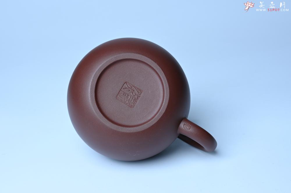 紫砂壶图片：美壶福利特惠 精工西施 泥料优秀 - 紫砂壶之家紫砂壶网