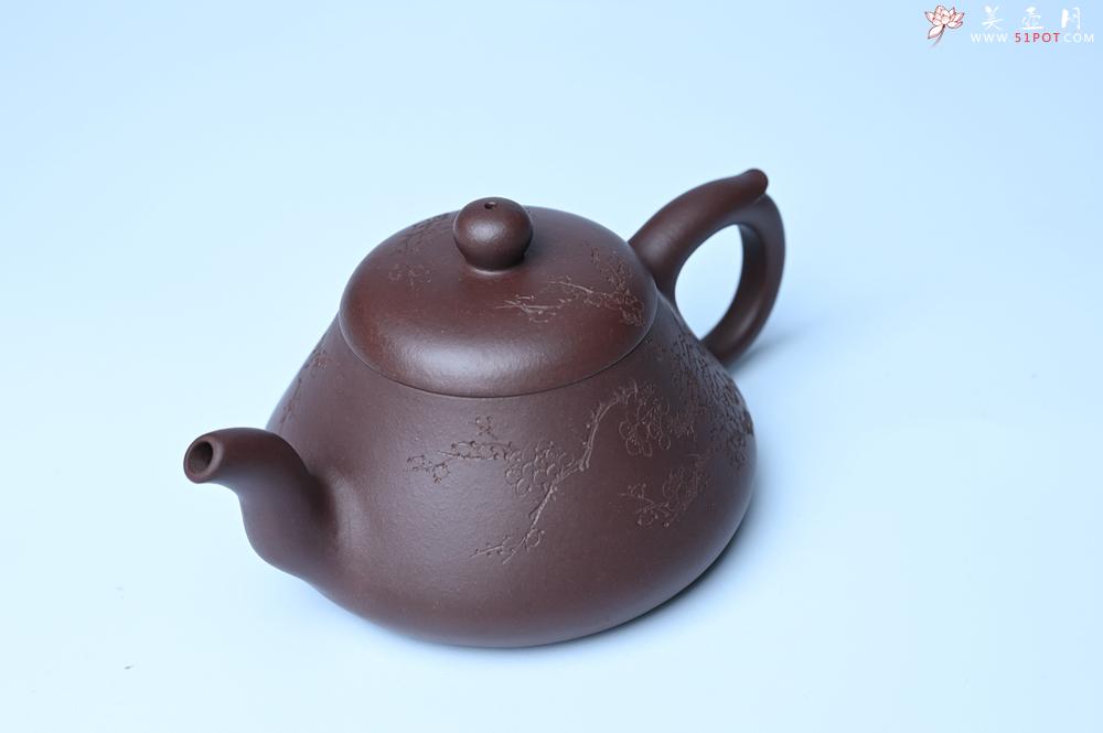 紫砂壶图片：潜力股周小培老师 全手工底槽青缘德壶 装饰通转梅花特文气 期待与您结缘 - 紫砂壶之家紫砂壶网
