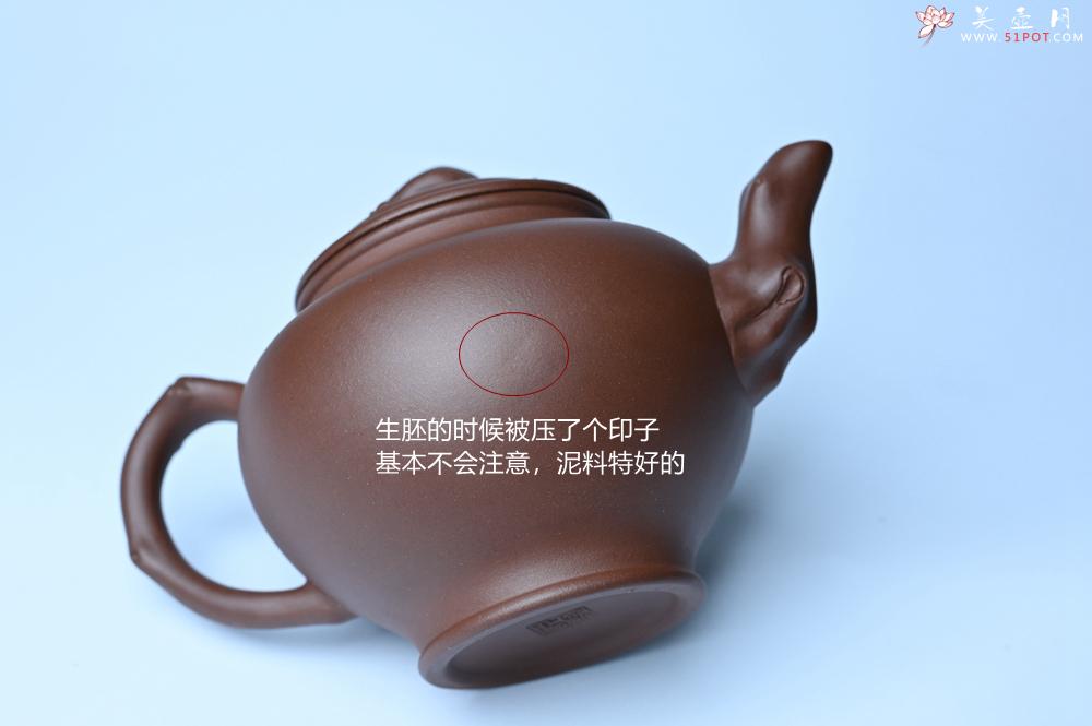 紫砂壶图片：美壶特惠 精致报春系列之梅花报春壶 - 紫砂壶之家紫砂壶网