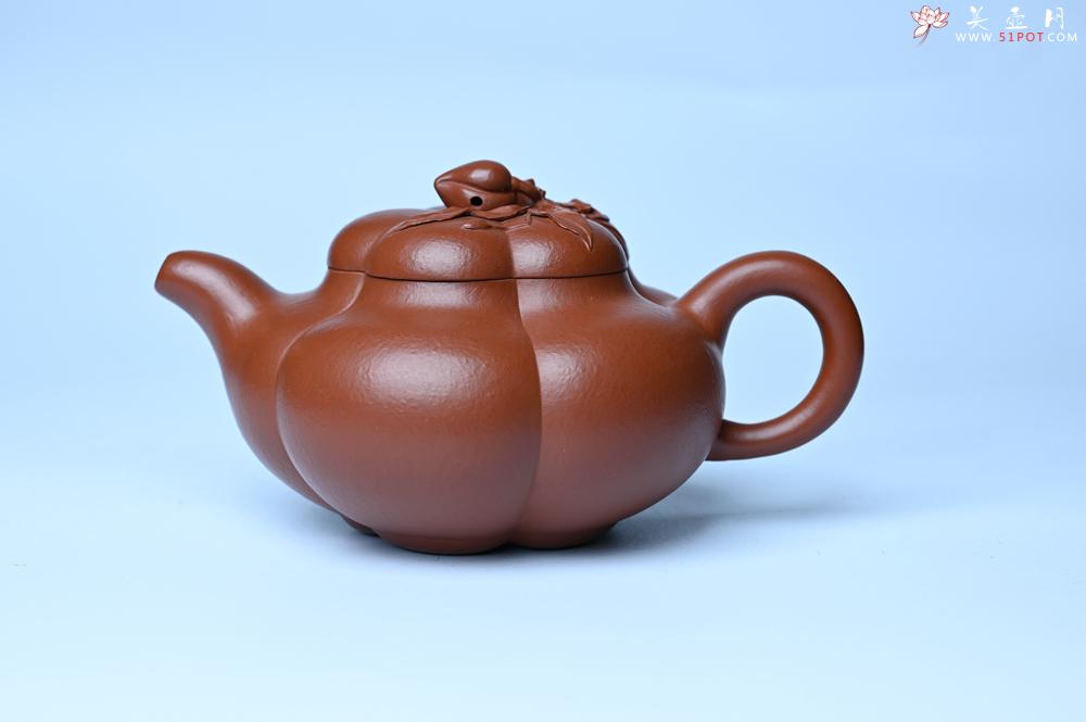 紫砂壶图片：美壶特惠 精品大红袍朱泥上合桃 茶人醉爱 - 紫砂壶之家紫砂壶网