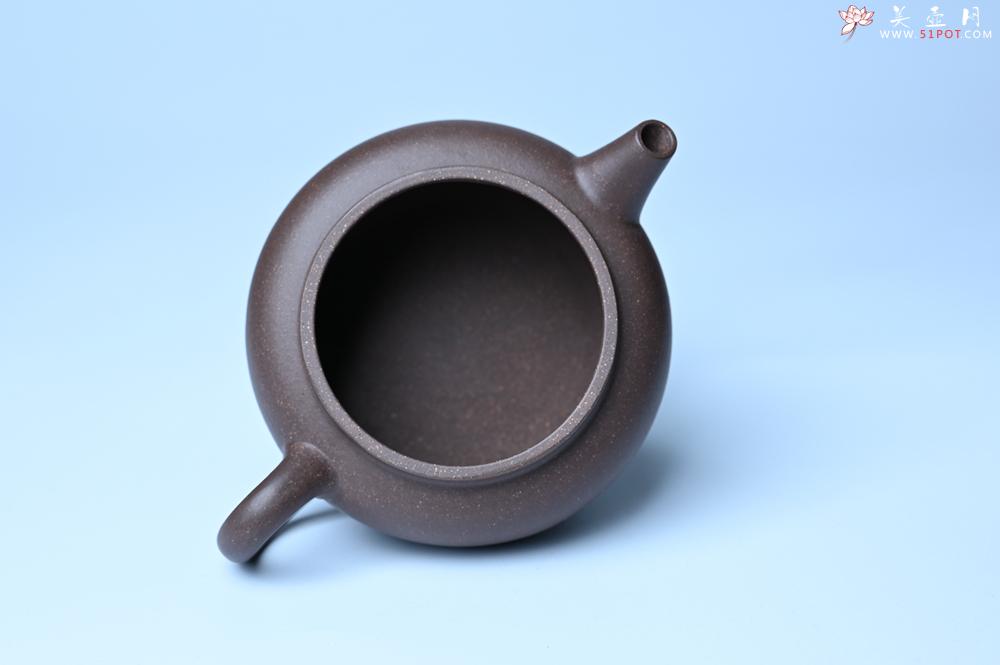 紫砂壶图片：美壶特惠 优质紫泥涌泉壶 茶人醉爱 - 紫砂壶之家紫砂壶网