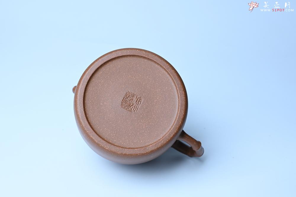 紫砂壶图片：美壶特惠 精致秀雅趣竹壶 茶人醉爱 - 紫砂壶之家紫砂壶网