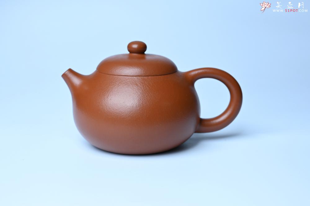 紫砂壶图片：潜力股周小培 油润黄龙山朱泥 全手工文旦壶 壶特好 期待与您结缘 - 紫砂壶之家紫砂壶网