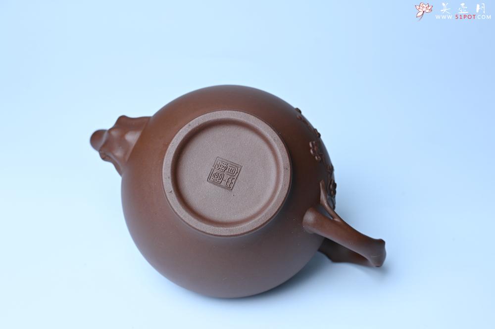 紫砂壶图片：美壶特惠 精致报春系列之梅花报春壶 - 紫砂壶之家紫砂壶网