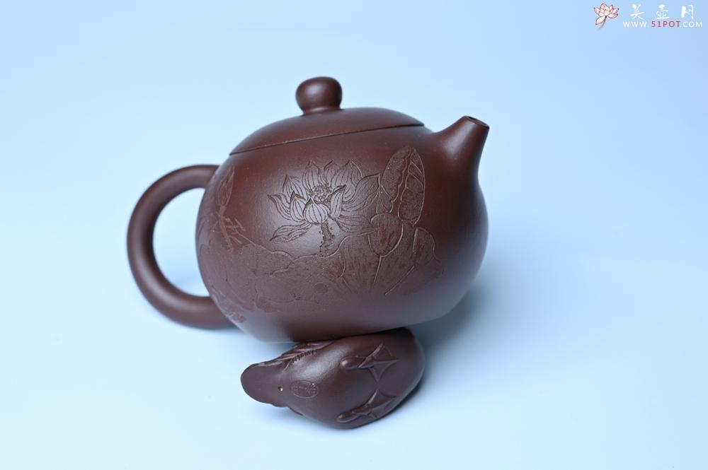 紫砂壶图片：油润底曹青 全手工西施茶壶 玉洁冰清 接天莲叶无穷碧 映日荷花别样红 - 紫砂壶之家紫砂壶网