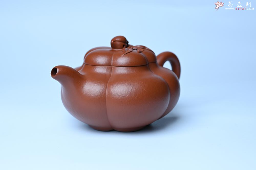 紫砂壶图片：美壶特惠 精品大红袍朱泥上合桃 茶人醉爱 - 紫砂壶之家紫砂壶网