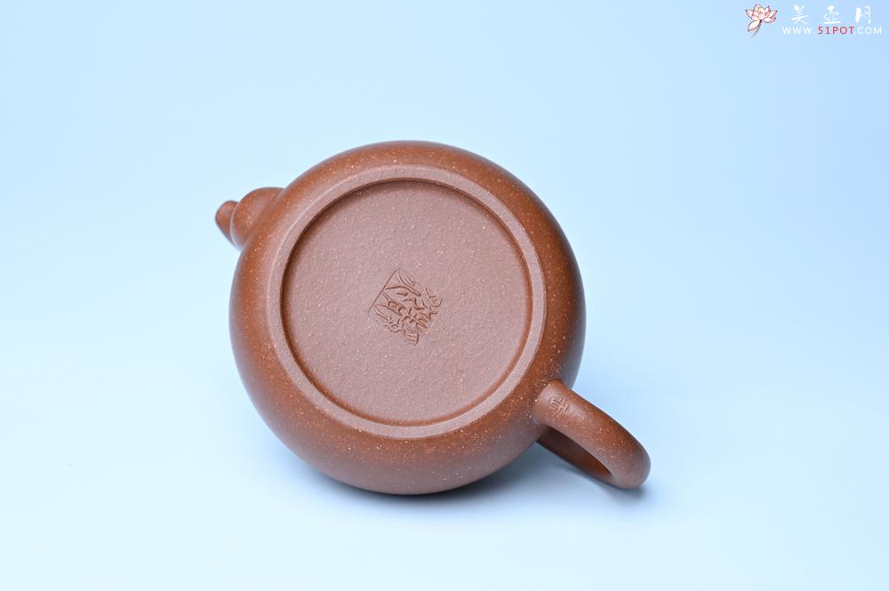 紫砂壶图片：美壶特惠 特好降坡泥大口实用思韵壶 茶人醉爱 - 紫砂壶之家紫砂壶网