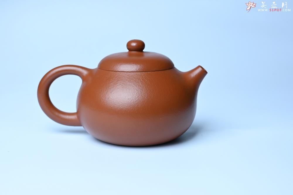 紫砂壶图片：潜力股周小培 油润黄龙山朱泥 全手工文旦壶 壶特好 期待与您结缘 - 紫砂壶之家紫砂壶网