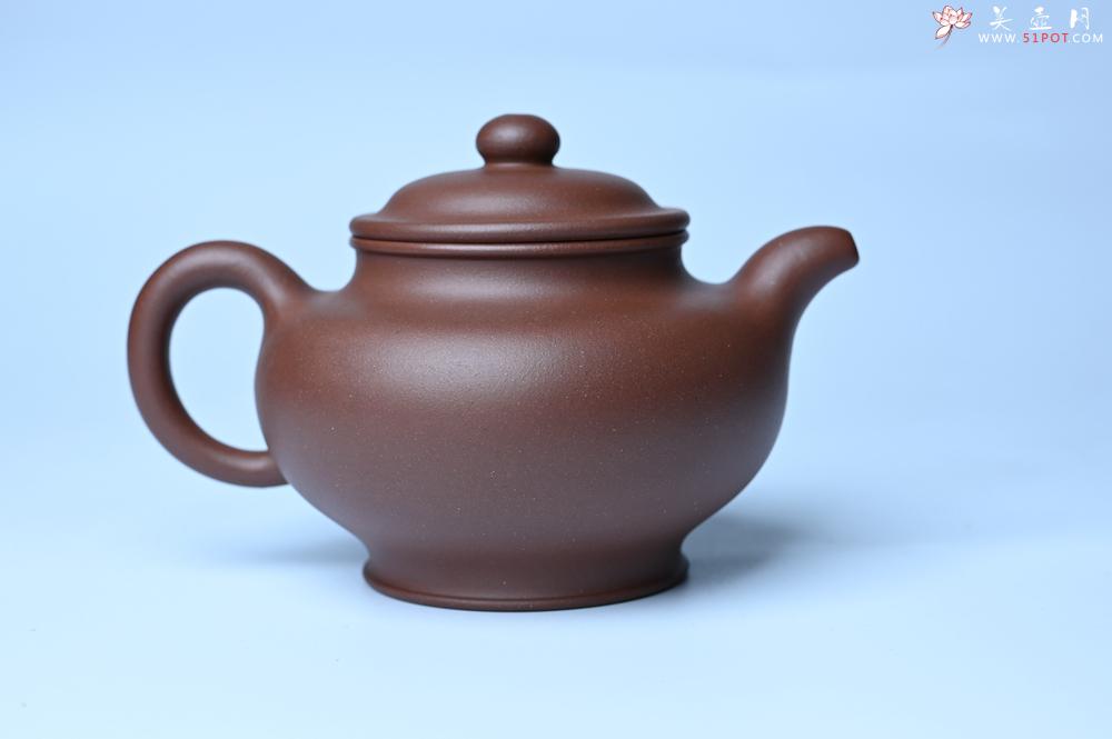 紫砂壶图片：美壶特惠 手工手制紫砂壶特好底槽青掇只壶 茶人醉爱 - 紫砂壶之家紫砂壶网