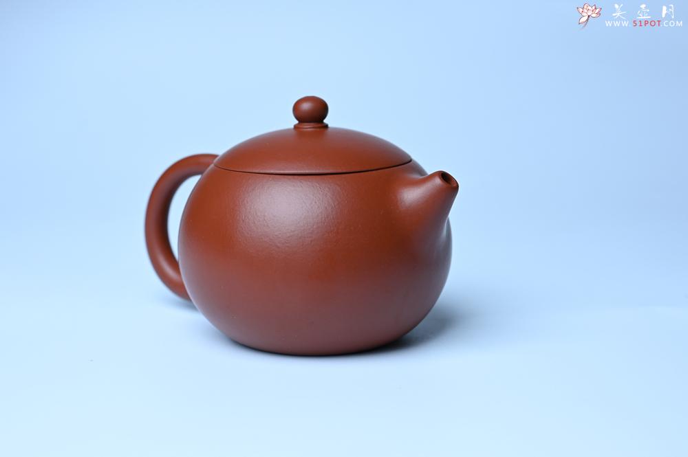 紫砂壶图片：美壶特惠 油润大红袍朱泥 小品西施壶 茶人醉爱 - 紫砂壶之家紫砂壶网