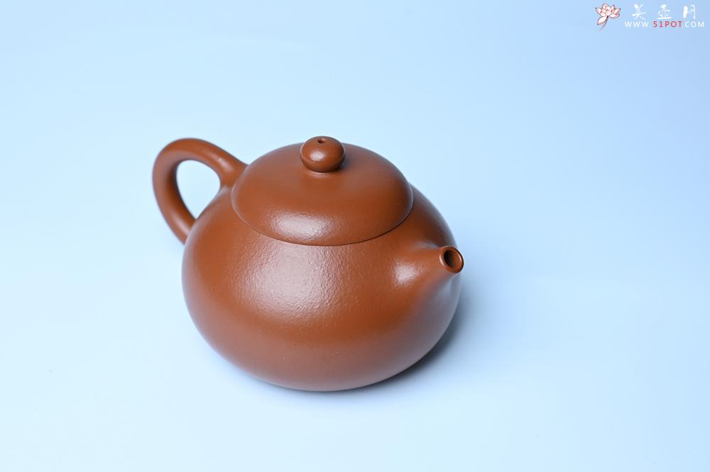 紫砂壶图片：潜力股周小培 油润黄龙山朱泥 全手工文旦壶 壶特好 期待与您结缘 - 紫砂壶之家紫砂壶网