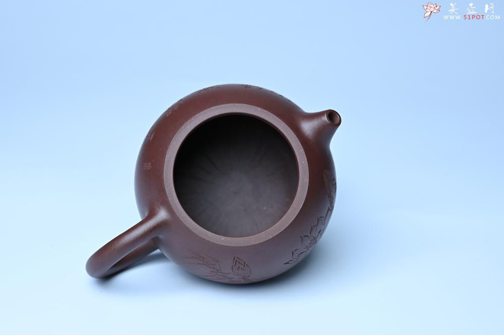 紫砂壶图片：油润底曹青 全手工西施茶壶 玉洁冰清 接天莲叶无穷碧 映日荷花别样红 - 紫砂壶之家紫砂壶网