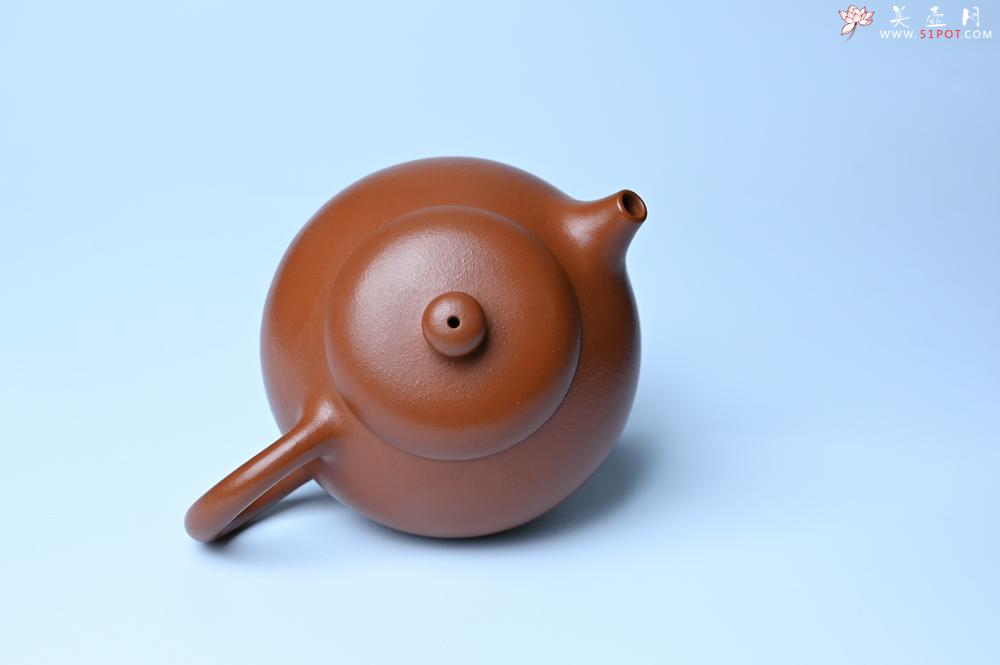 紫砂壶图片：潜力股周小培 油润黄龙山朱泥 全手工文旦壶 壶特好 期待与您结缘 - 紫砂壶之家紫砂壶网