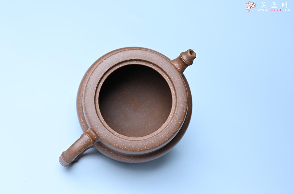 紫砂壶图片：美壶特惠 精致秀雅趣竹壶 茶人醉爱 - 紫砂壶之家紫砂壶网