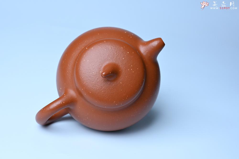 紫砂壶图片：美壶特惠 特好红泥桂花砂茄段壶 茶人醉爱 - 紫砂壶之家紫砂壶网