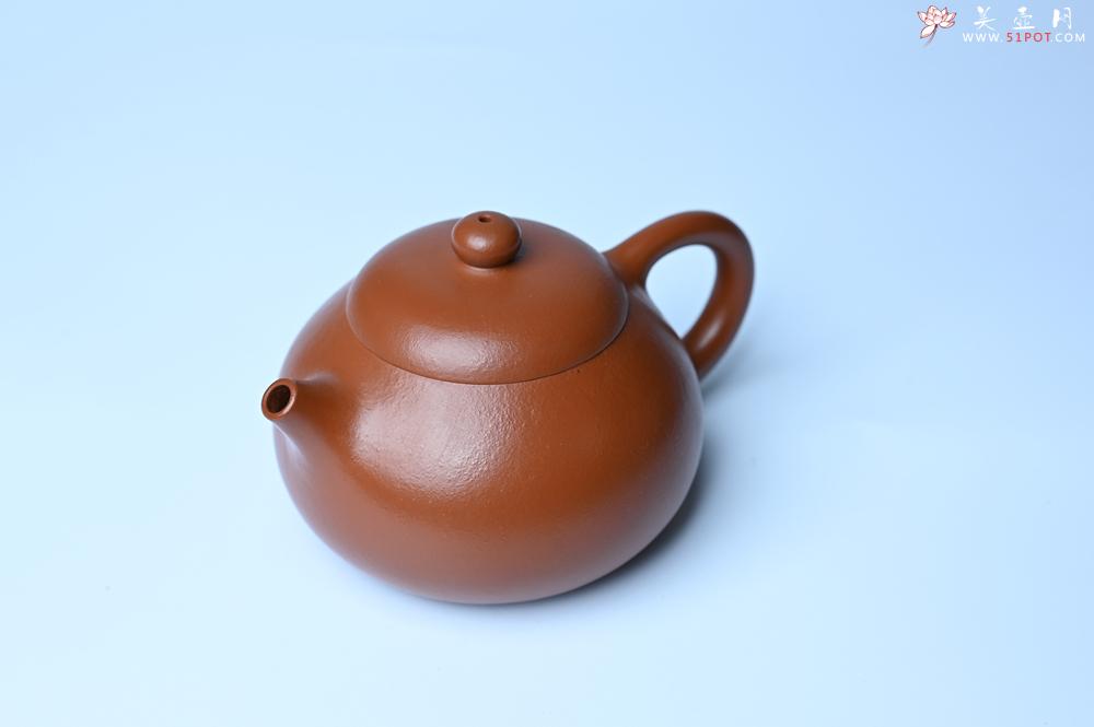 紫砂壶图片：潜力股周小培 油润黄龙山朱泥 全手工文旦壶 壶特好 期待与您结缘 - 紫砂壶之家紫砂壶网