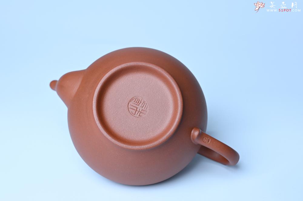 紫砂壶图片：美壶特惠 金砂隐现特好老清水泥笑樱壶 茶人醉爱 - 紫砂壶之家紫砂壶网
