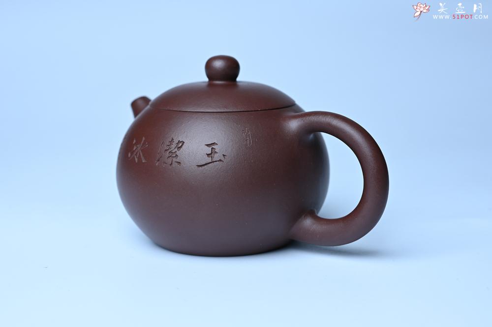 紫砂壶图片：油润底曹青 全手工西施茶壶 玉洁冰清 接天莲叶无穷碧 映日荷花别样红 - 紫砂壶之家紫砂壶网