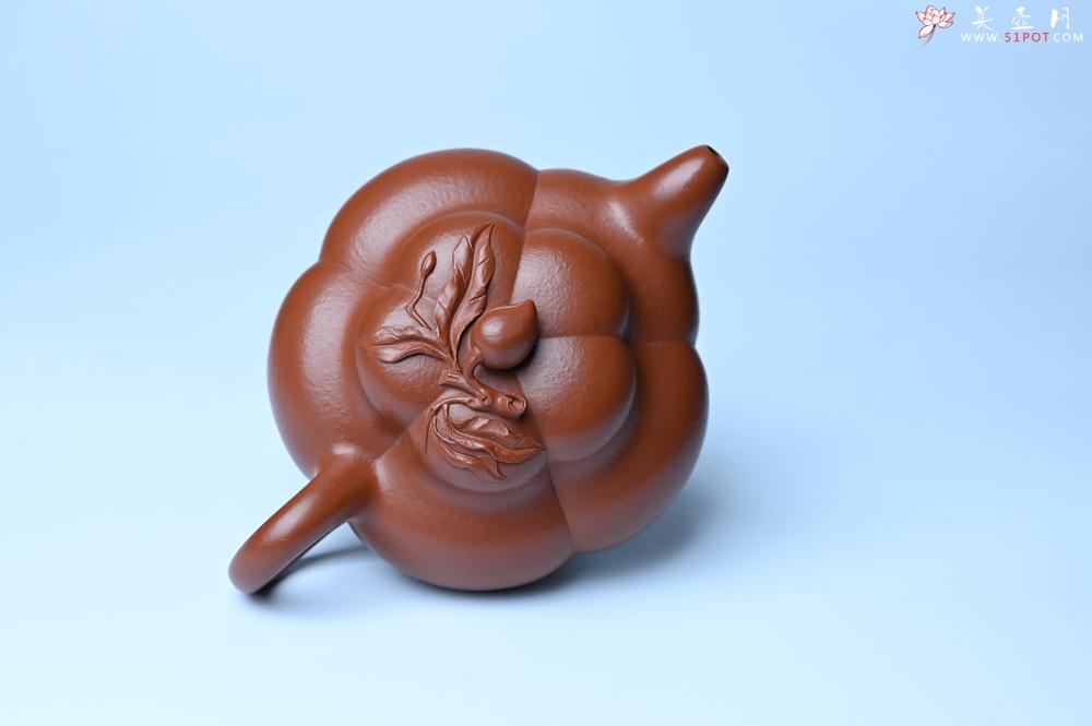 紫砂壶图片：美壶特惠 精品大红袍朱泥上合桃 茶人醉爱 - 紫砂壶之家紫砂壶网