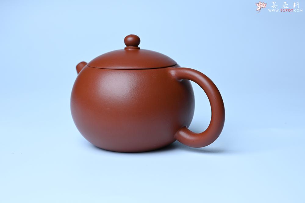 紫砂壶图片：美壶特惠 油润大红袍朱泥 小品西施壶 茶人醉爱 - 紫砂壶之家紫砂壶网