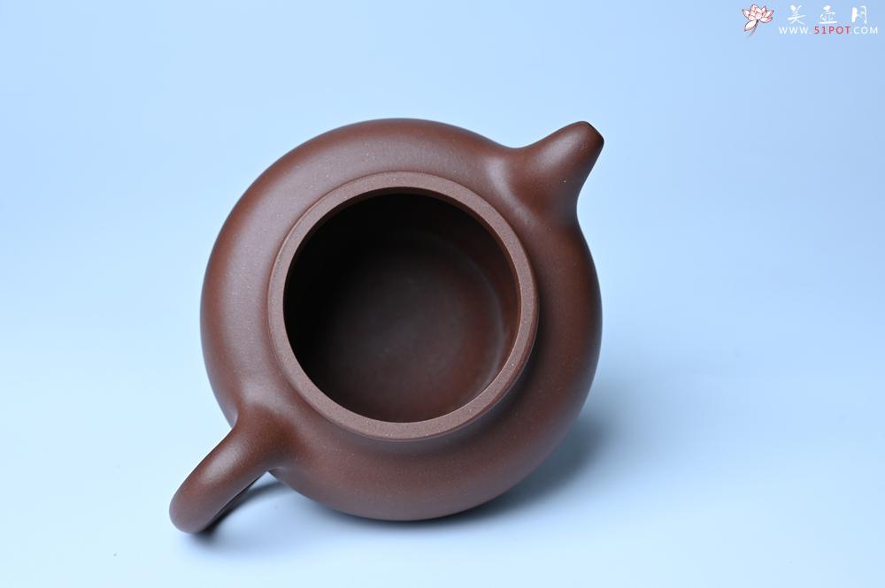 紫砂壶图片：美壶特惠 手工手制紫砂壶特好底槽青掇只壶 茶人醉爱 - 紫砂壶之家紫砂壶网
