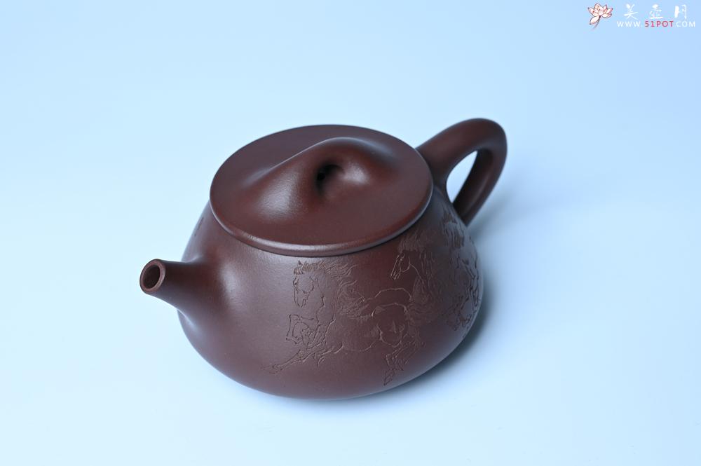 紫砂壶图片：实力派周斌 优质底槽青全手工精工满瓢壶  范小君徒杨志超装饰七骏图 - 紫砂壶之家紫砂壶网