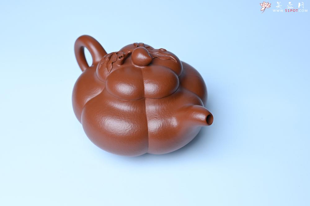 紫砂壶图片：美壶特惠 精品大红袍朱泥上合桃 茶人醉爱 - 紫砂壶之家紫砂壶网