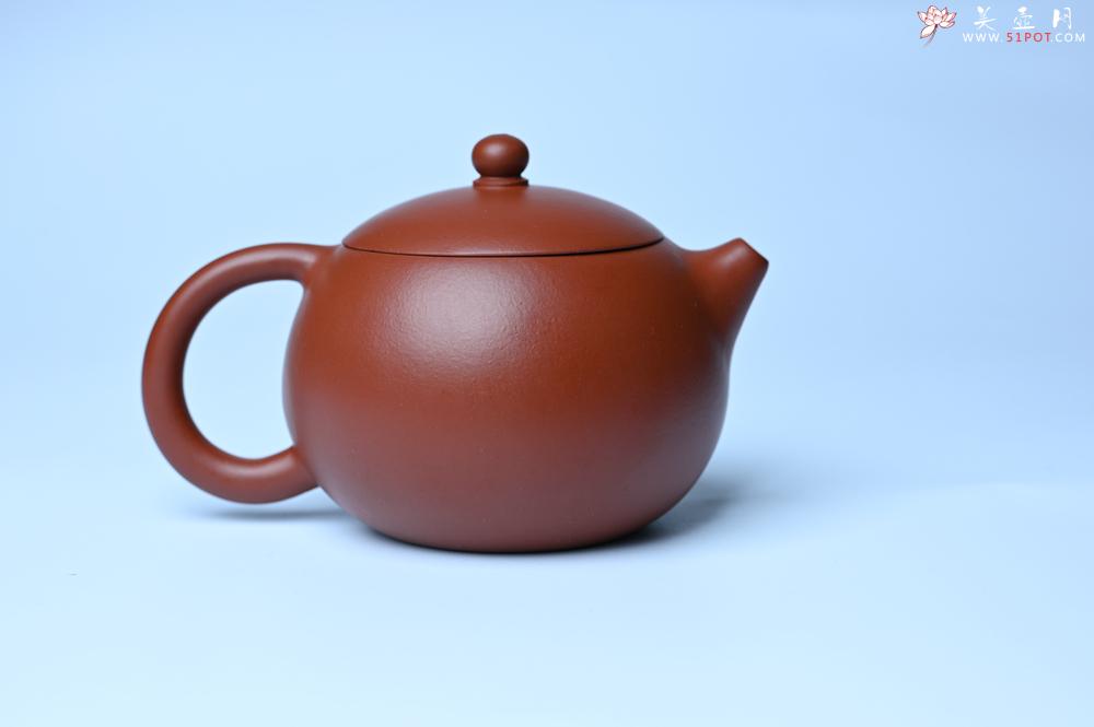 紫砂壶图片：美壶特惠 油润大红袍朱泥 小品西施壶 茶人醉爱 - 紫砂壶之家紫砂壶网