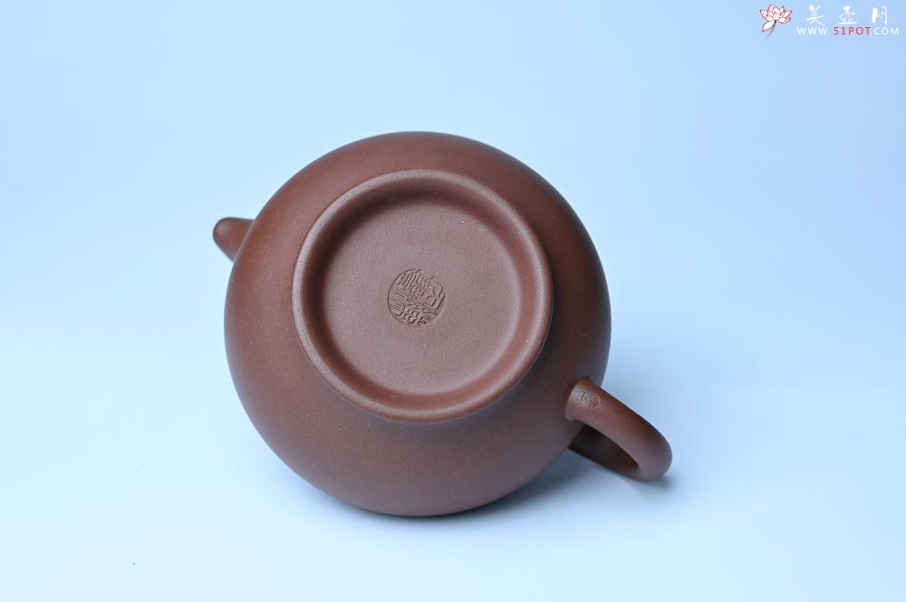 紫砂壶图片：美壶特惠 手工手制紫砂壶特好底槽青掇只壶 茶人醉爱 - 紫砂壶之家紫砂壶网