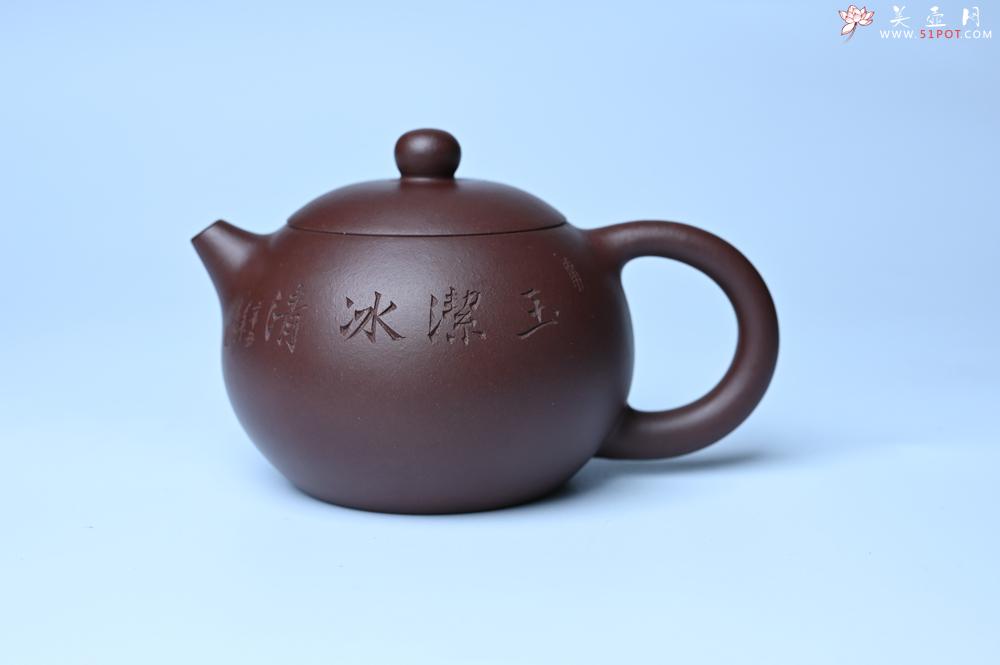 紫砂壶图片：油润底曹青 全手工西施茶壶 玉洁冰清 接天莲叶无穷碧 映日荷花别样红 - 紫砂壶之家紫砂壶网