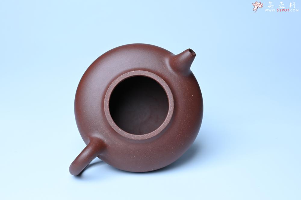 紫砂壶图片：美壶特惠周老师实力精工力作 临摹致敬经典华颖壶 - 紫砂壶之家紫砂壶网